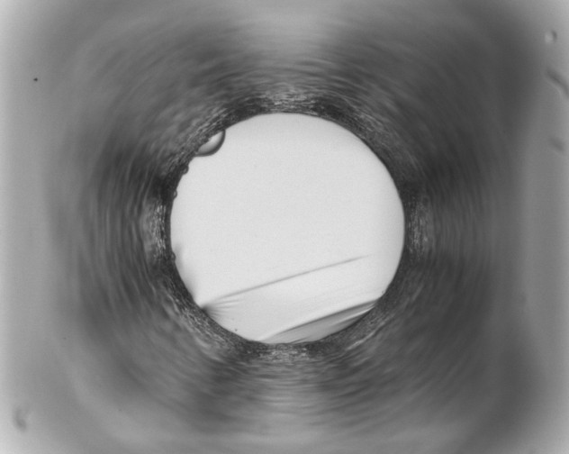 X0000102031346200808151331