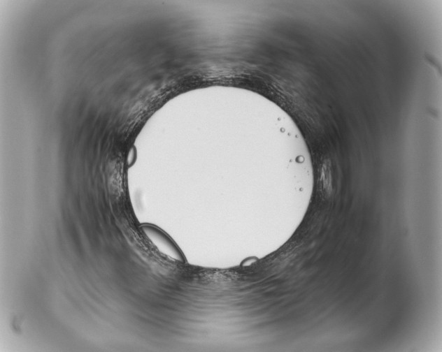 X0000102031348200808151331