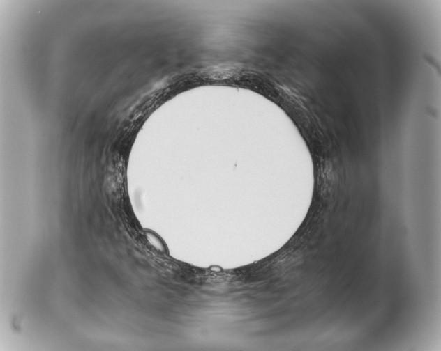 X0000102031349200808151330