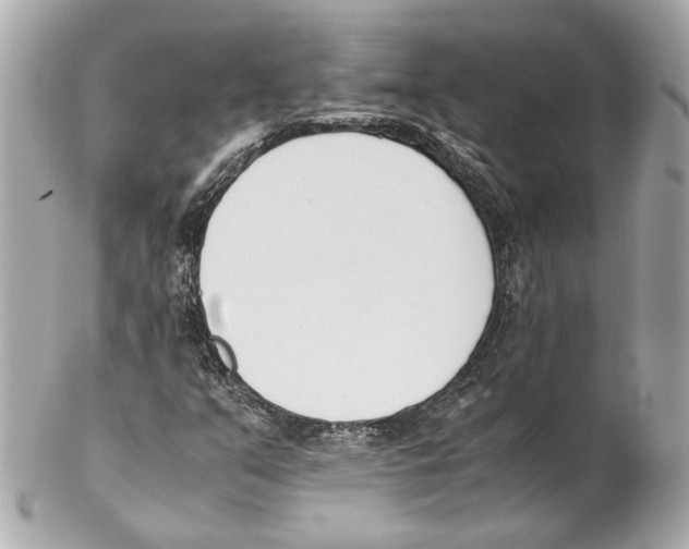 X0000102031351200808151330