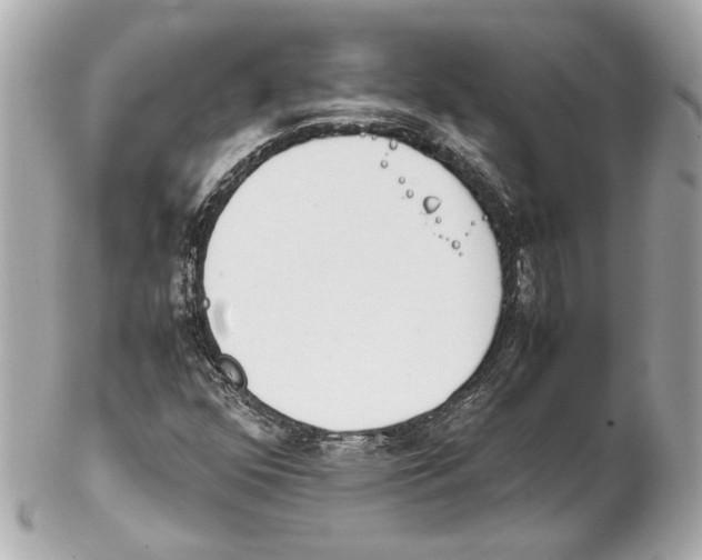 X0000102031352200808151330