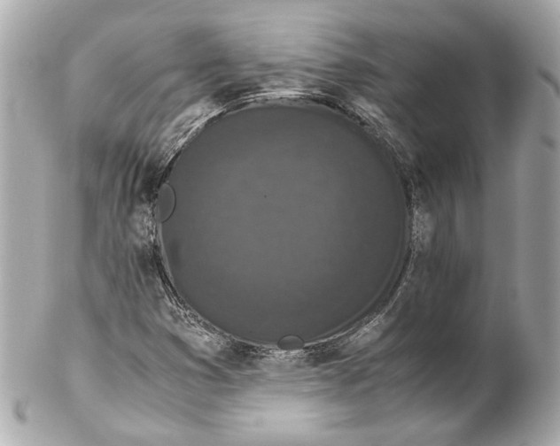 X0000102031353200808151330