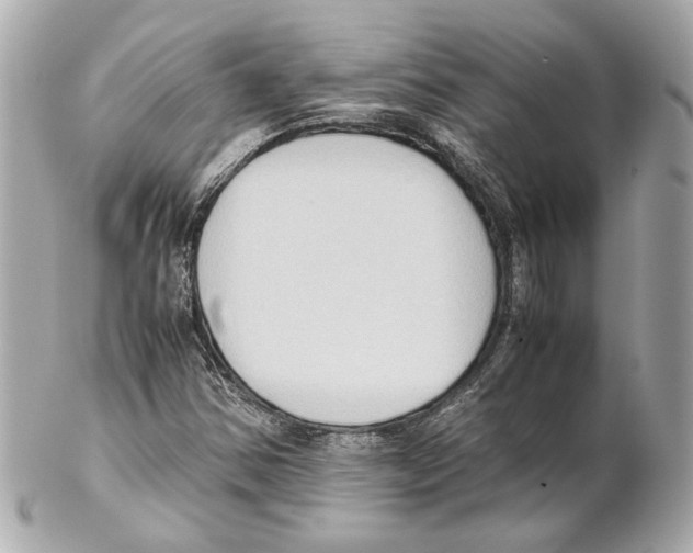 X0000102031354200808151330