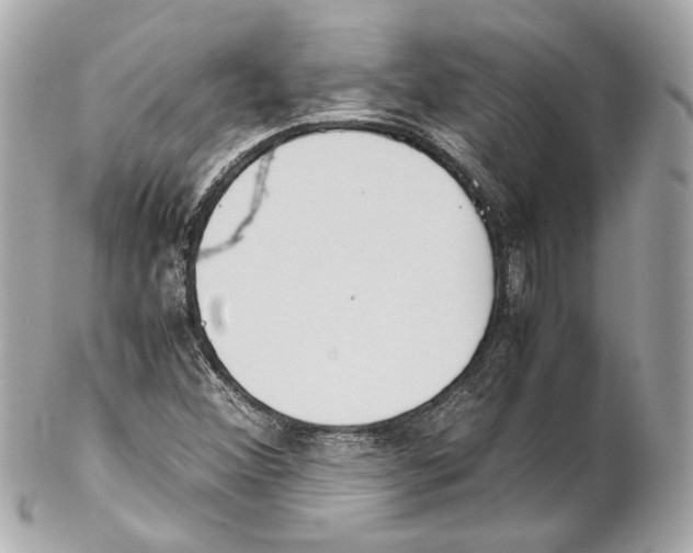 X0000102031356200808151330