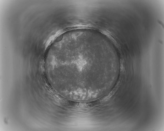 X0000102031357200808151330