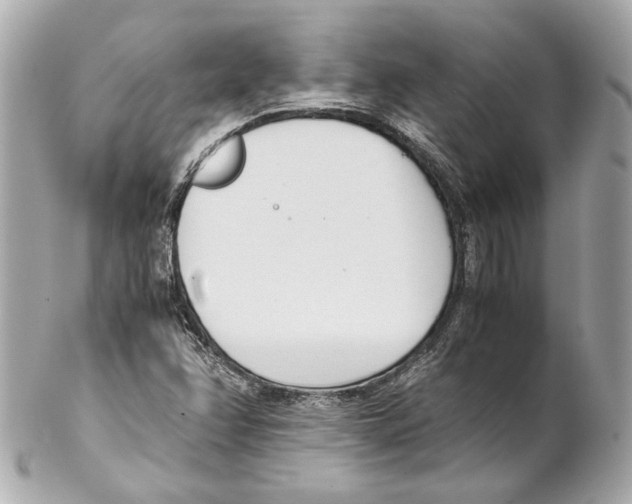 X0000102031358200808151330