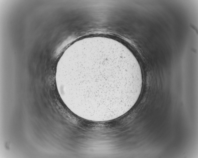 X0000102031359200808151330