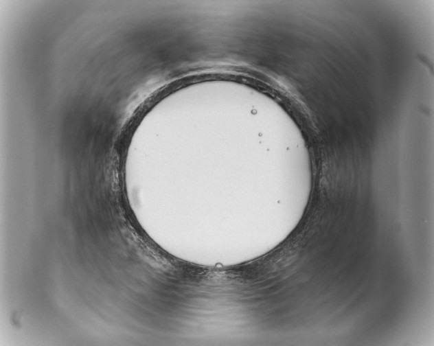 X0000102031360200808151330