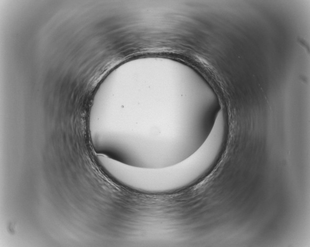 X0000102031361200808151330