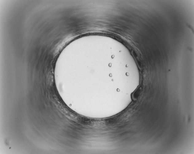 X0000102031363200808151330