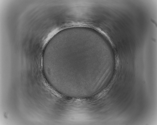 X0000102031365200808151330