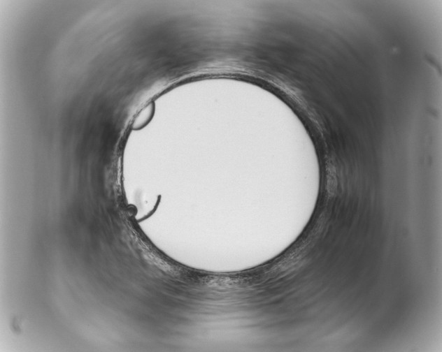 X0000102031366200808151330