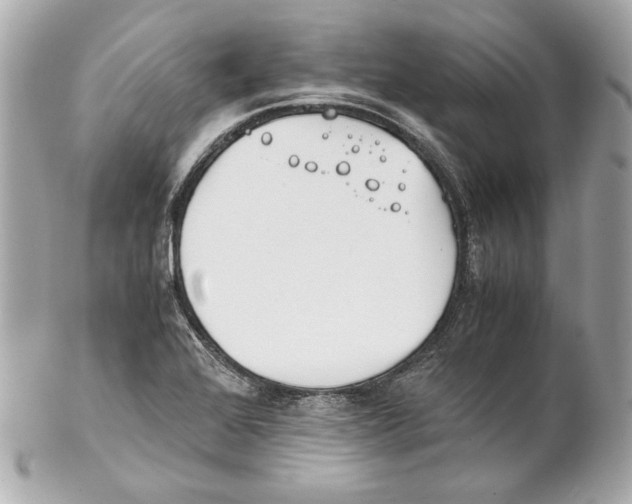 X0000102031368200808151330