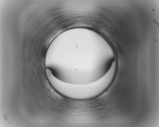 X0000102031369200808151330