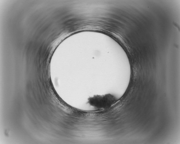 X0000102031371200808151330