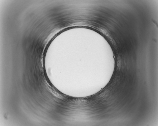 X0000102031372200808151330