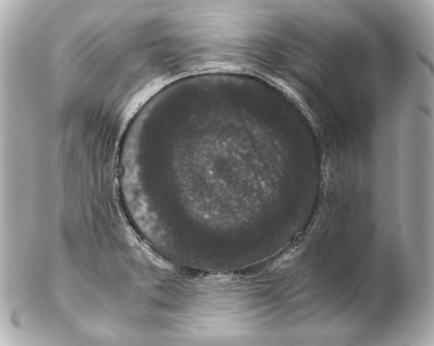 X0000102031373200808151330