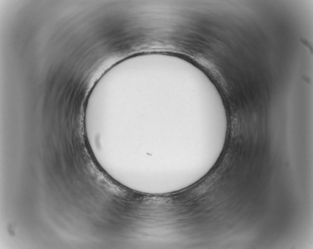 X0000102031374200808151330