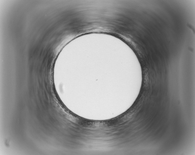 X0000102031375200808151330