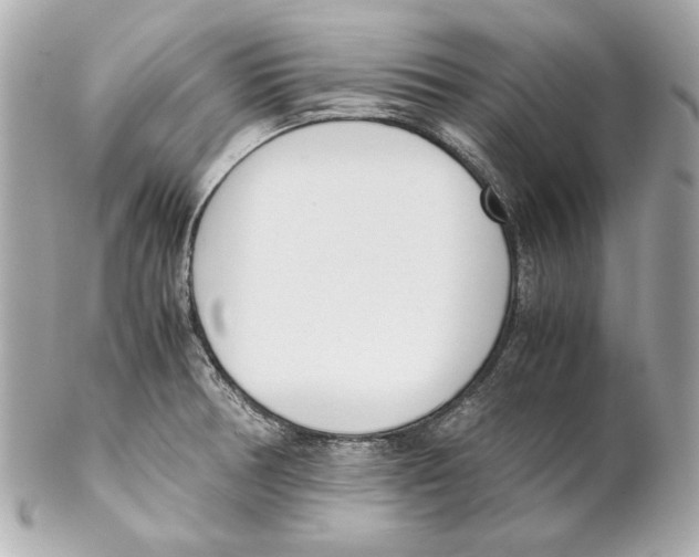 X0000102031378200808151330