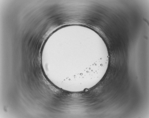 X0000102031380200808151330