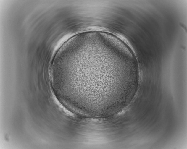 X0000102031381200808151330