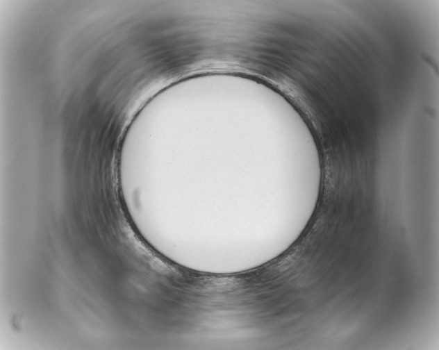 X0000102031382200808151330