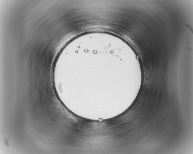 X0000102031384200808151330