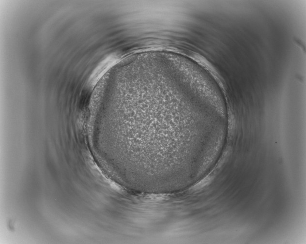 X0000102031385200808151330