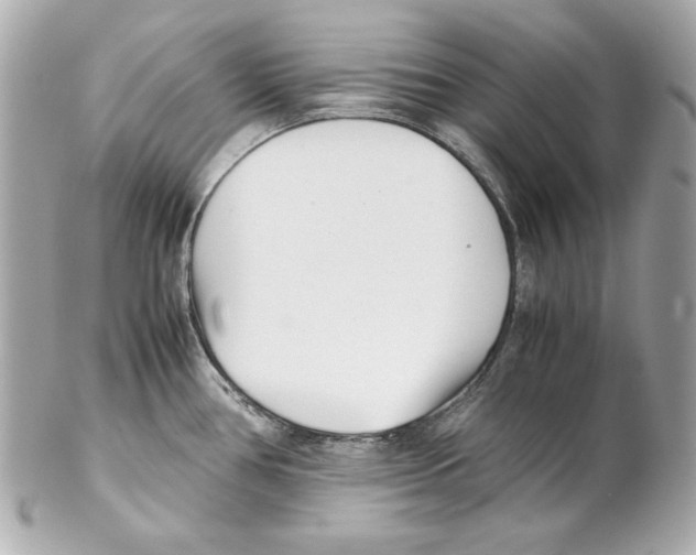 X0000102031386200808151330