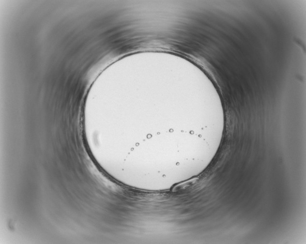 X0000102031387200808151330