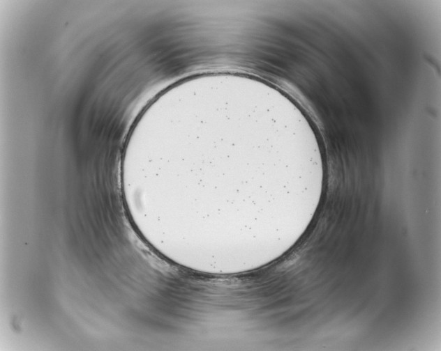 X0000102031388200808151330