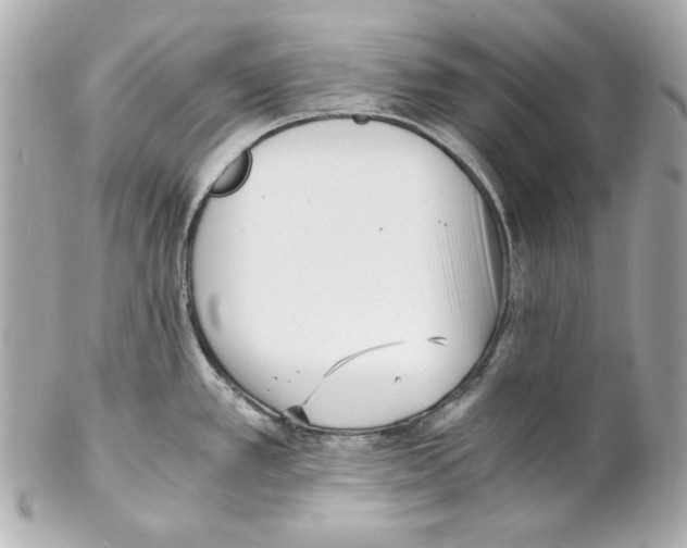 X0000102031389200808151330