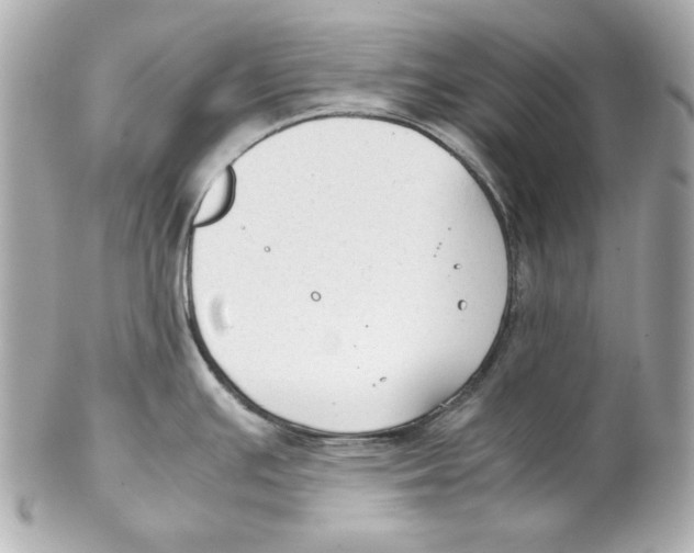 X0000102031391200808151330