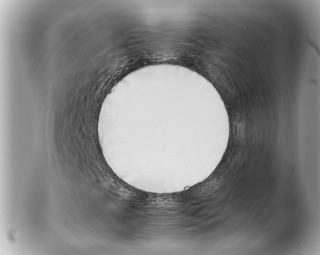 X0000102031393200808151329