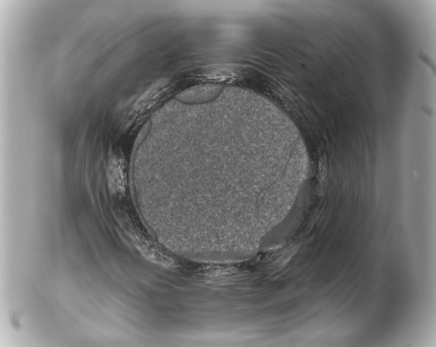 X0000102031394200808151329