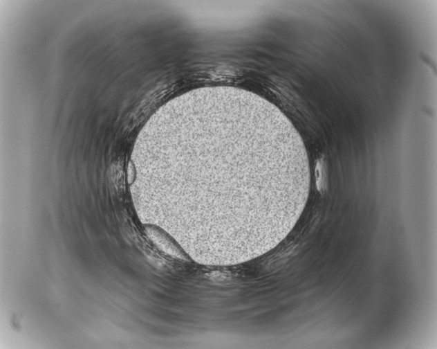 X0000102031395200808151329