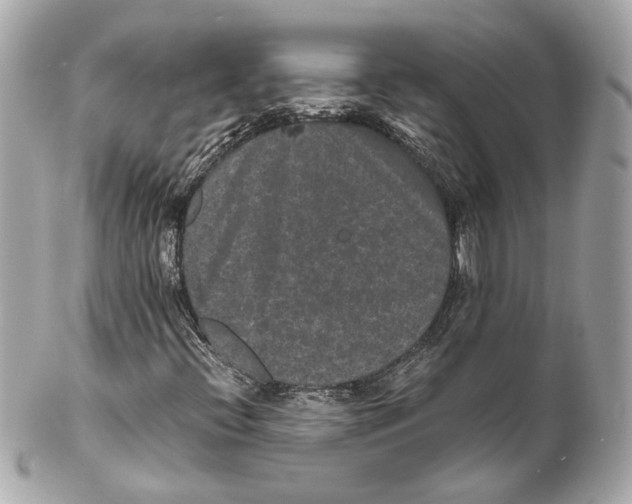 X0000102031396200808151329