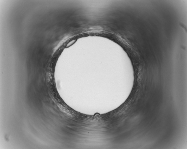 X0000102031400200808151329