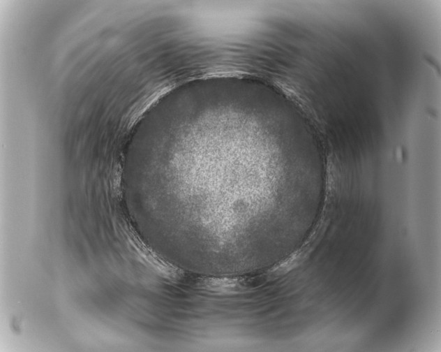 X0000102031401200808151329