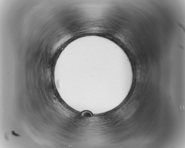 X0000102031402200808151329