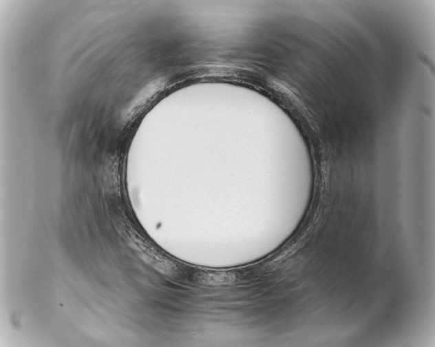 X0000102031403200808151329