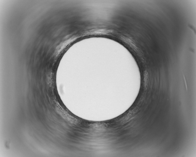 X0000102031404200808151329