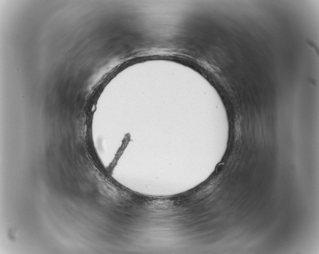 X0000102031406200808151329