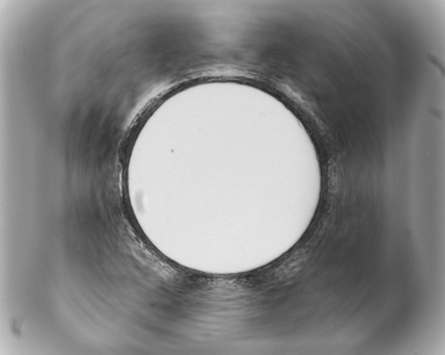 X0000102031408200808151329