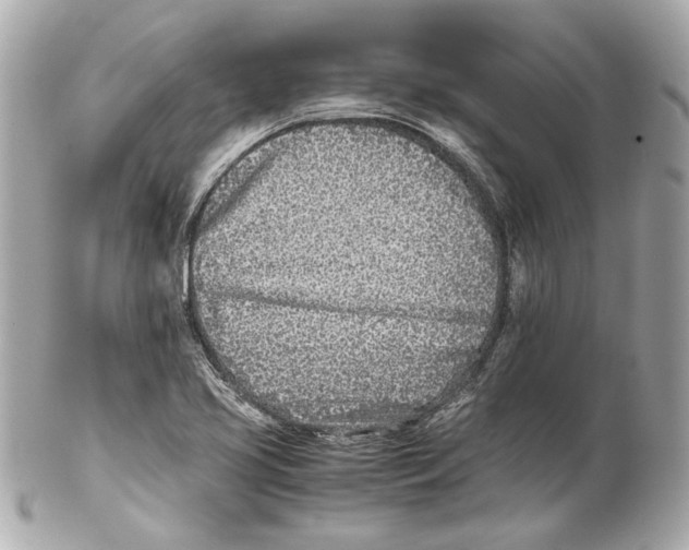 X0000102031413200808151329