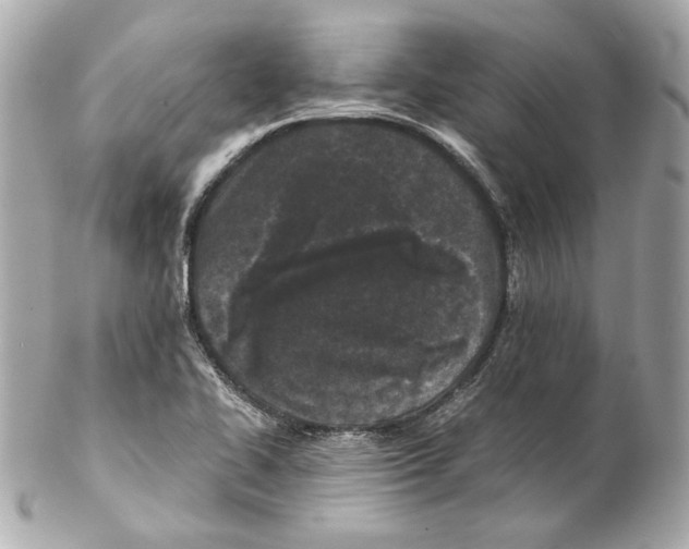 X0000102031414200808151329