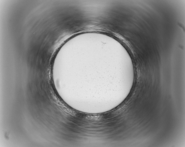 X0000102031415200808151329