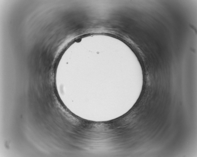 X0000102031416200808151330