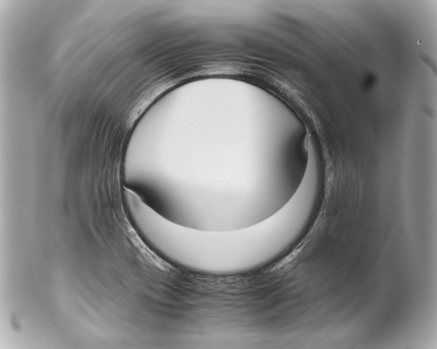 X0000102031417200808151330